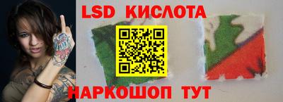 гидропоника Долгопрудный