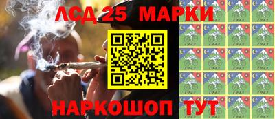 мяу мяу мука Дмитров