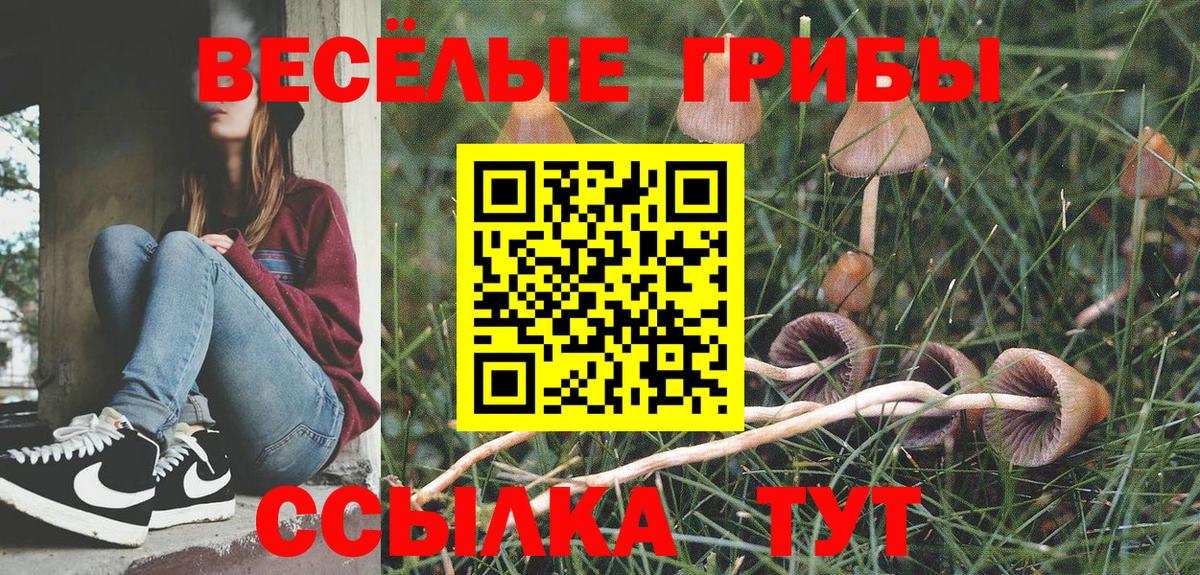 Реж  купить закладку  Вход с VPN  Галлюциногенные грибы мицелий 