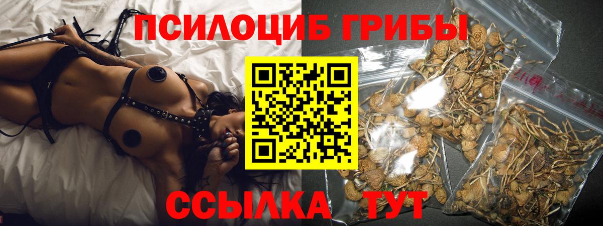 Галлюциногенные грибы GOLDEN TEACHER Реж